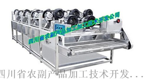 水煮筍生產(chǎn)設(shè)備,清水筍生產(chǎn)設(shè)備